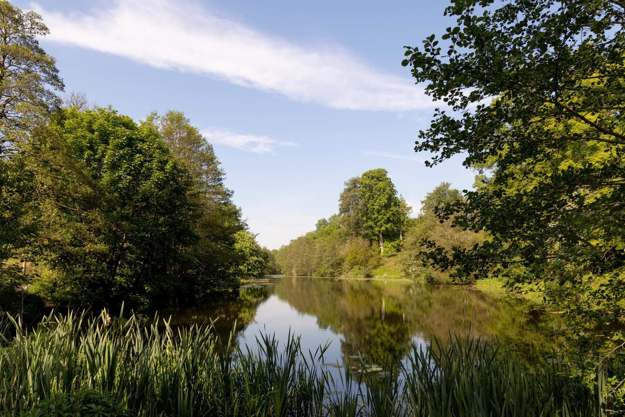 /sites/default/files/2023-07/Calke%20Abbey%20Lake%20-%20Large%20%281%29.jpg