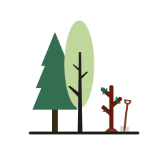 https://nfcstaging.nationalforest.org/sites/default/files/2024-01/corner-graphic-6%20FINAL.png