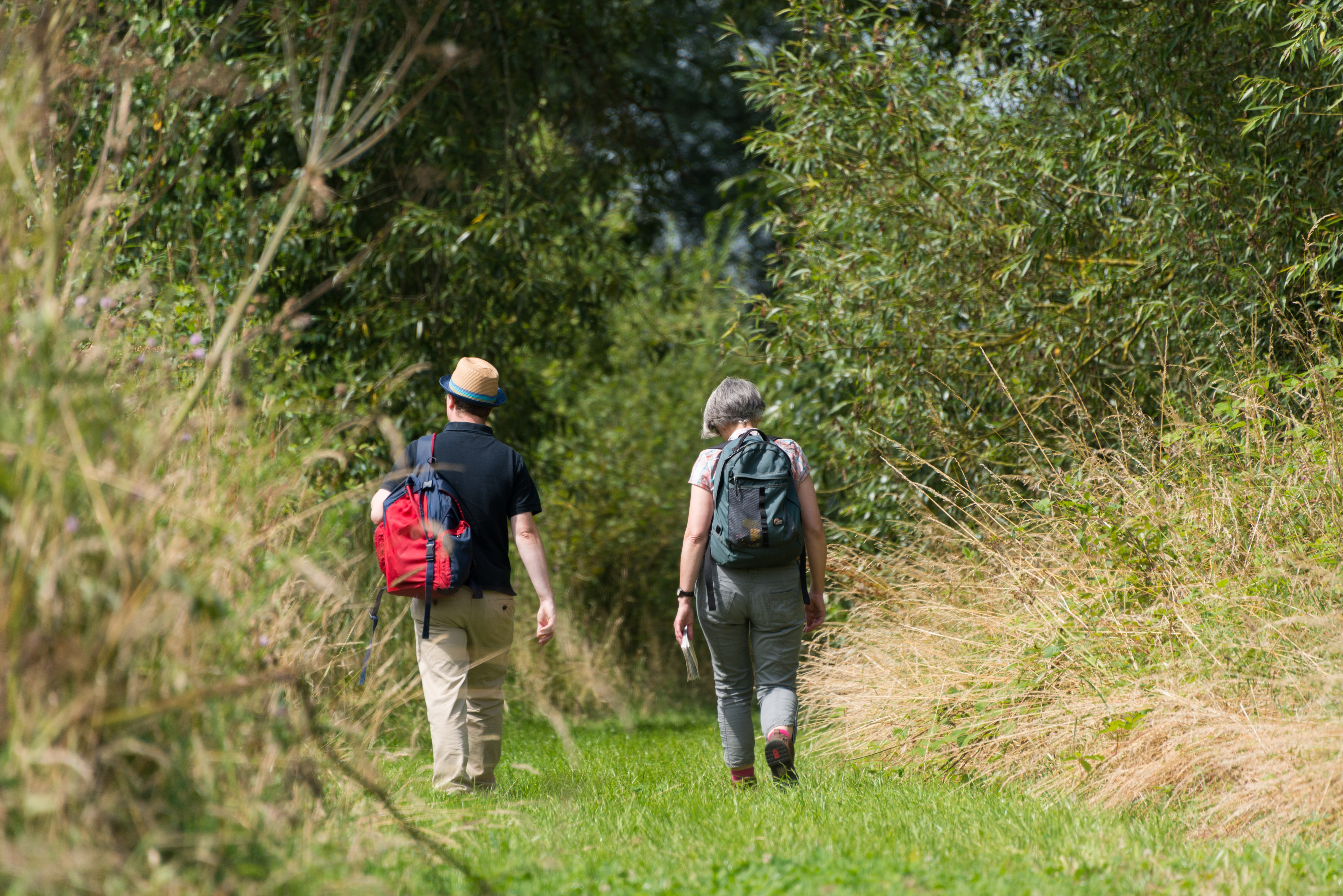 Two socially distanced walkers on a woodland path