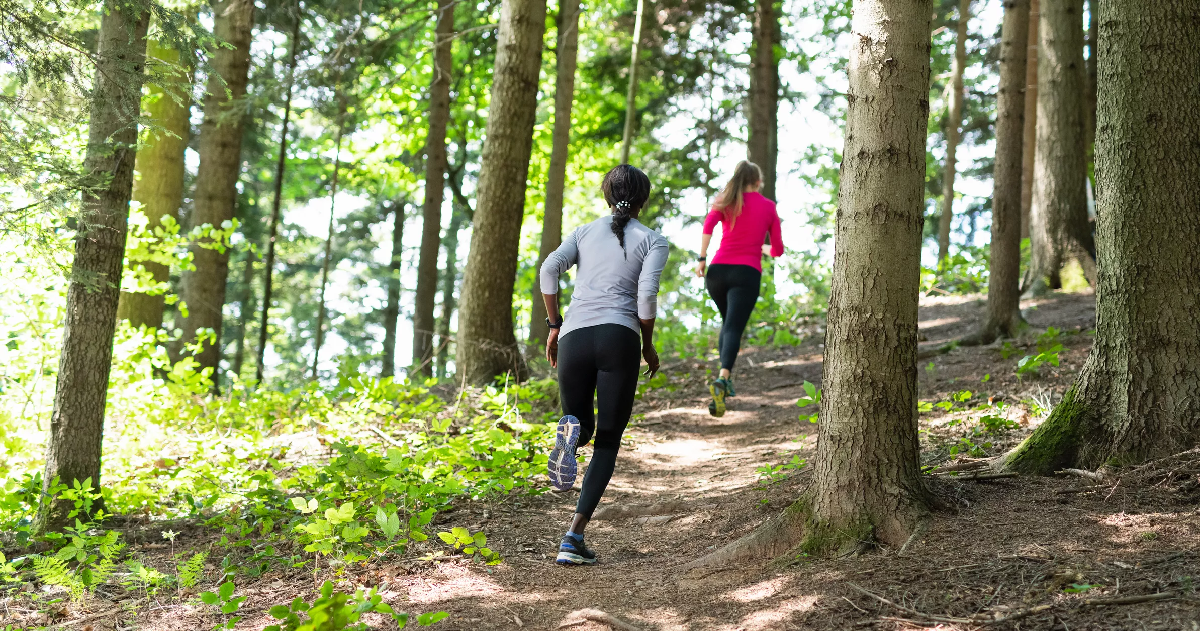 Health & Wellbeing