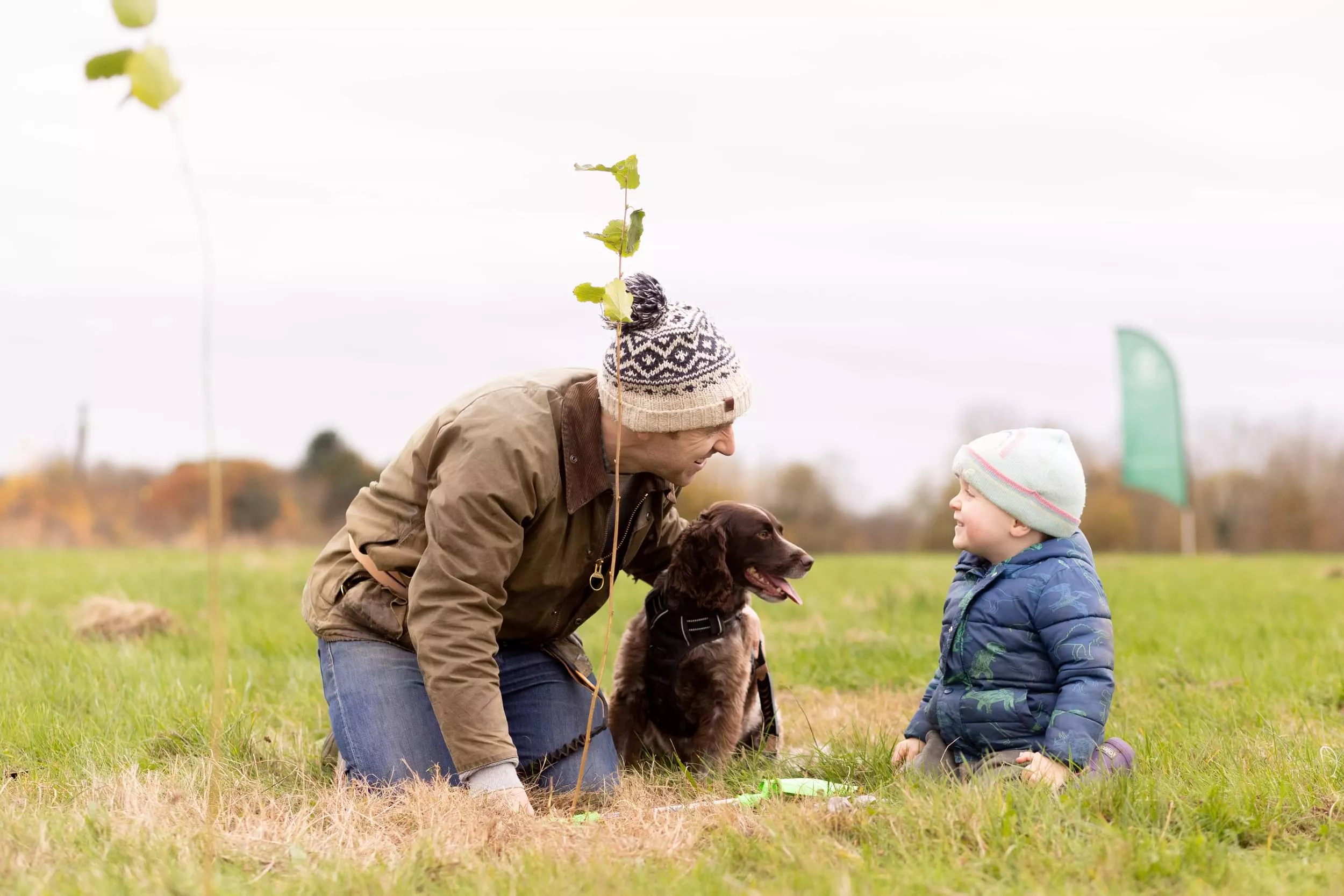 Plant a Tree
