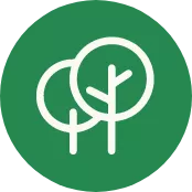 https://nfcstaging.nationalforest.org/sites/default/files/styles/convert_to_webp/public/2024-01/plant-trees-icon%20FINAL.png.webp