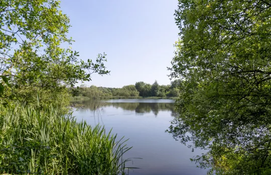 /sites/default/files/2023-10/Saltersford%20Valley%20-%20Large.jpg