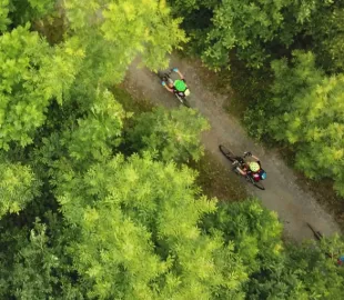 https://nfcstaging.nationalforest.org/sites/default/files/styles/custom_270x216/public/2022-12/Background%20donate.jpg.webp?itok=8kSDZV9t