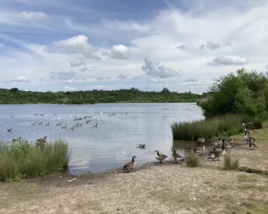 Albert Village Lake