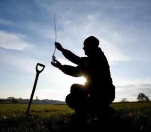 https://nfcstaging.nationalforest.org/sites/default/files/styles/custom_270x216/public/2023-09/Planting%20a%20young%20tree%20at%20Poppy%20Wood.jpg.webp?itok=7cqBcUWA