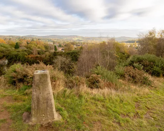 The trig point at Hill Hole Quarry, looking over the surrounding woodland