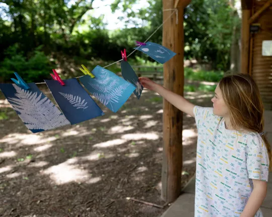 Leaf printing