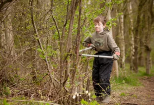 Tree Felling