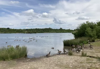 Albert Village Lake