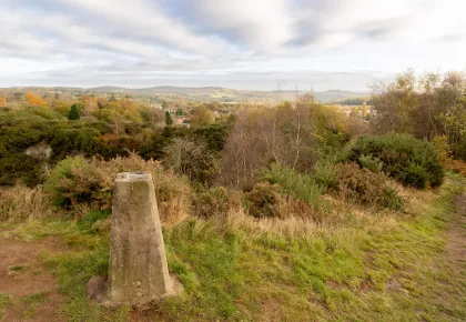 The trig point at Hill Hole Quarry, looking over the surrounding woodland