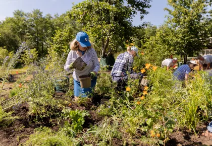 Volunteer gardeners 