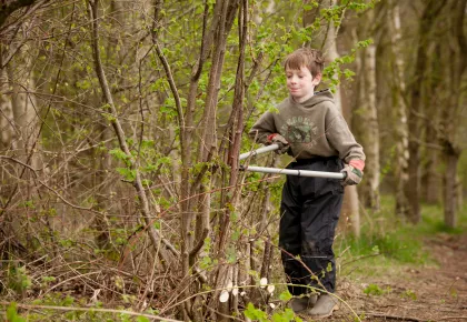 Tree Felling