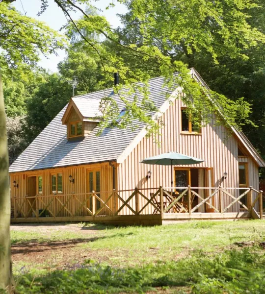 Deerpark lodge, National Forest
